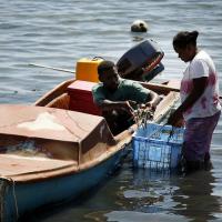 Taking fish to market. Solomon Islands 2007
