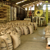 Determinants of coffee production in PNG: challenges and opportunities
